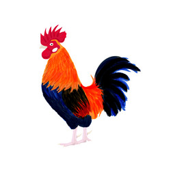 Similar image 11461204