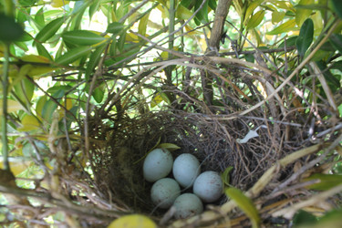 Similar image 11452214