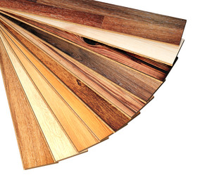 Similar image 11459749