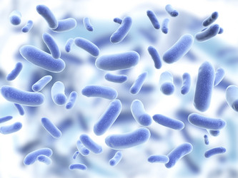 Similar image 11459755