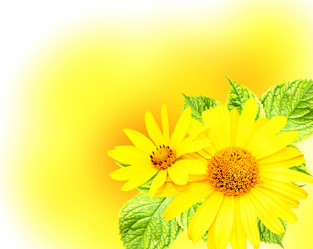 Similar image 11459774