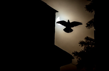 Similar image 11458942