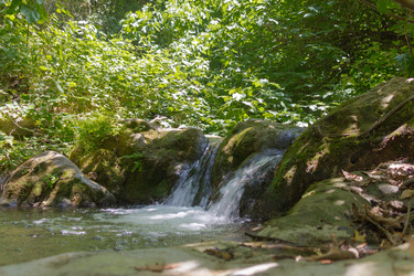 Similar image 11452082