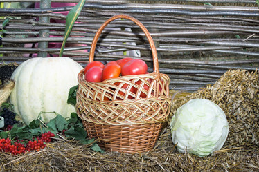 Similar image 11464472