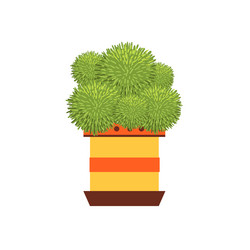 Similar image 11453761