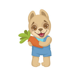 Similar image 11453884