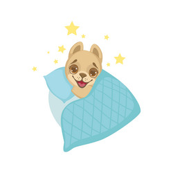 Similar image 11453894