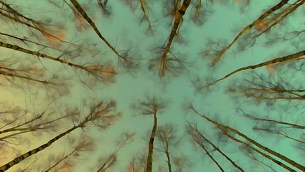 Similar image 11452482