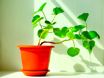 Similar image 11452483