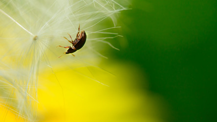 Similar image 11452944