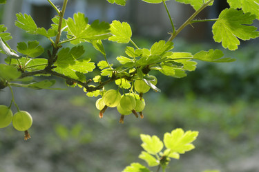 Similar image 11453007