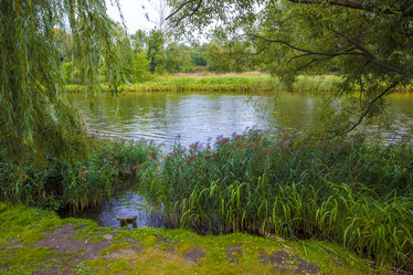 Similar image 11453278