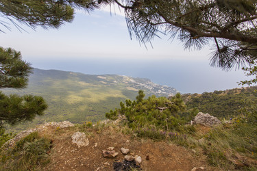 Similar image 11453293