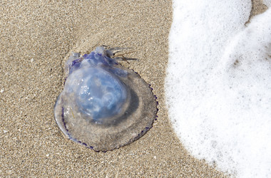 Similar image 11453291