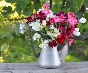 Similar image 11453010