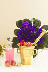 Similar image 11453464