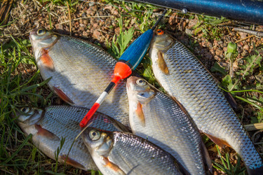 Similar image 11459409