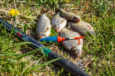 Similar image 11459412