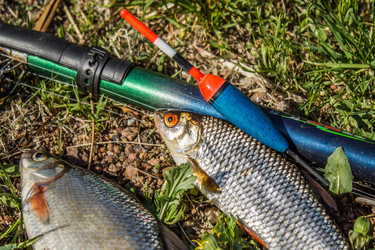 Similar image 11459413