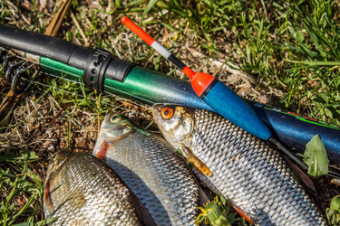 Similar image 11459415