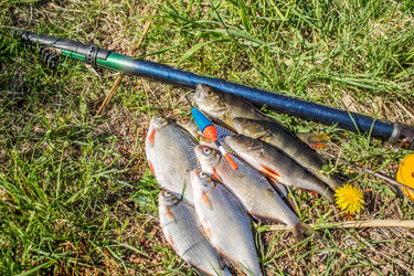 Similar image 11459418