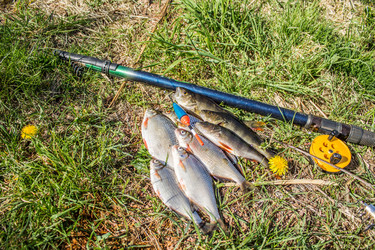 Similar image 11459419