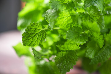 Similar image 11467604