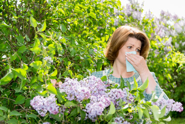 Similar image 11460669