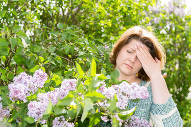 Similar image 11460674