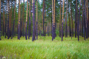 Similar image 11456286