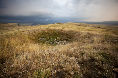 Similar image 11456290