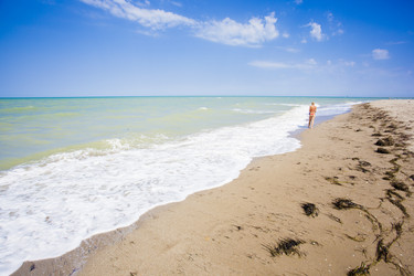 Similar image 11459149