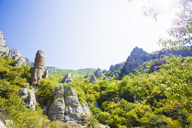 Similar image 11456306