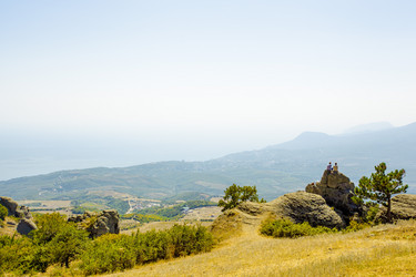 Similar image 11464485