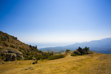 Similar image 11464486