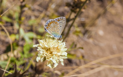 Similar image 11456307