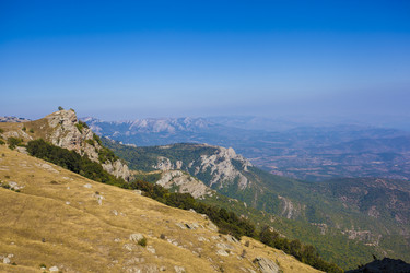 Similar image 11459169