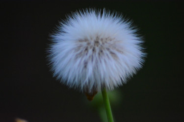 Similar image 11453062