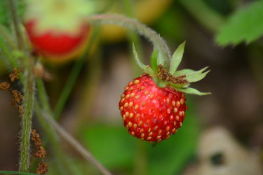 Similar image 11453063