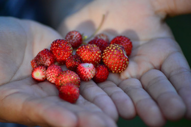 Similar image 11453064