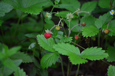 Similar image 11453065