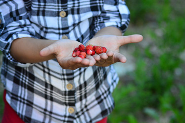 Similar image 11453066