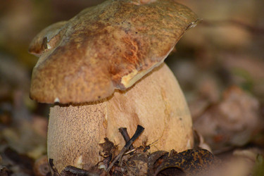 Similar image 11453067