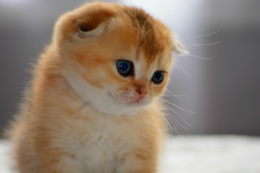 Similar image 11453070