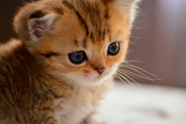 Similar image 11453071