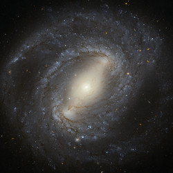 Similar image 11459218