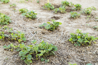 Similar image 11459322