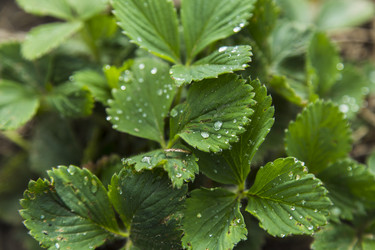 Similar image 11459326