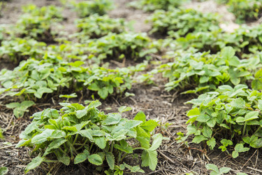 Similar image 11459328