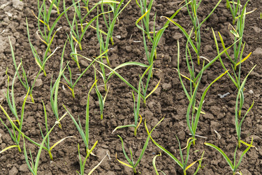 Similar image 11459340